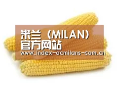 产品名称五