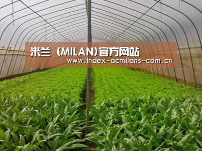 种植基地四