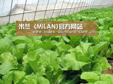 种植基地一